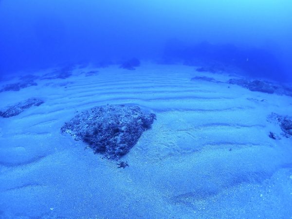 砂紋のきれいな海